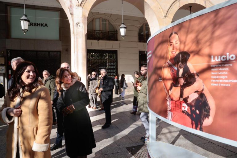 Zaragoza supera récord de adopciones de mascotas en el CMPA en 2025