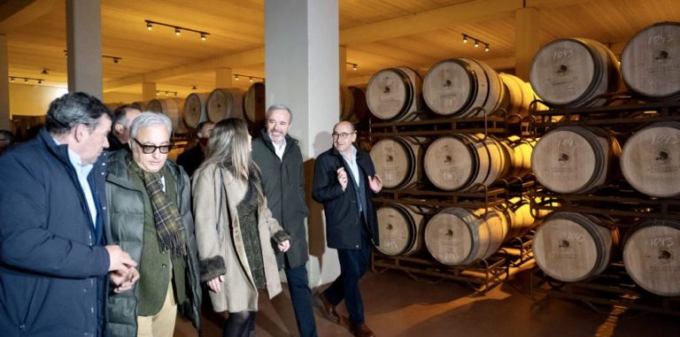 Aragón invertirá 9,8 millones de euros en el sector del vino en 2025