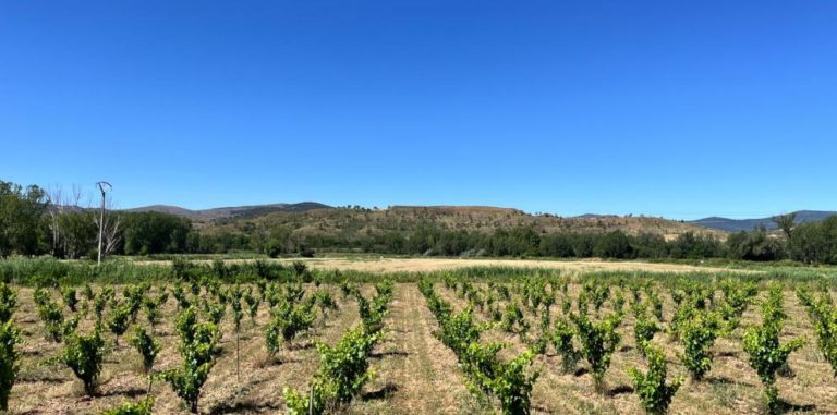 El CITA inicia seis nuevos proyectos del Fondo de Inversiones de Teruel