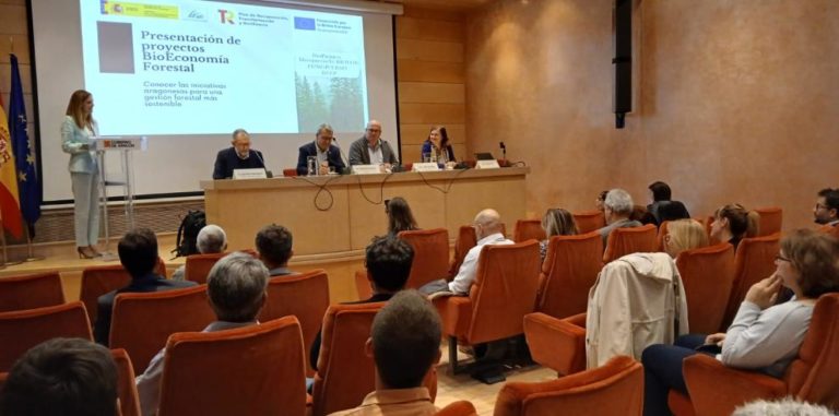 Cuatro proyectos de bioeconomía forestal impulsan el desarrollo rural y la sostenibilidad en Aragón