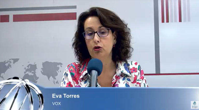 VOX critica la gestión del proyecto Distrito 7 en Zaragoza