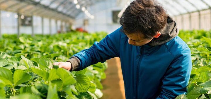 Formación subvencionada en Aragón para potenciar la agricultura y ganadería