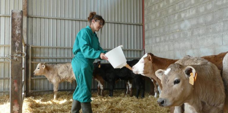 El 23% de las explotaciones agrarias de Aragón están a nombre de mujeres
