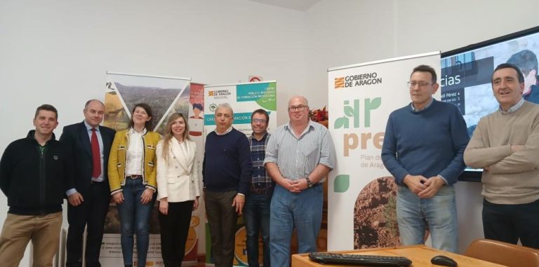 Aragón pone en valor la reforestación forestal