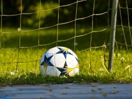 white soccer ball on green grass field