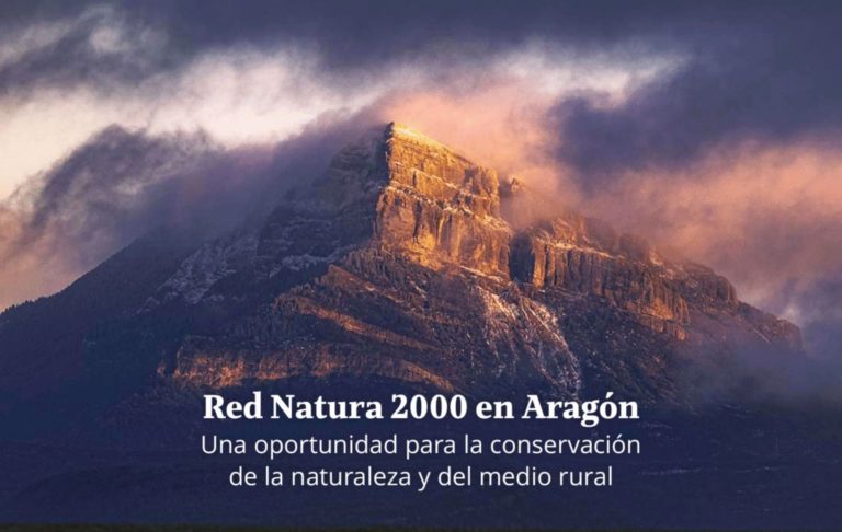La Red Natural ha lanzado más de 400 actividades gratuitas para este verano