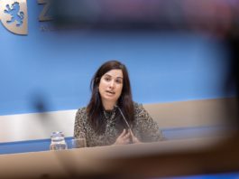 Zaragoza refuerza la prevención de plagas y supervisa la limpieza de terrazas ante la llegada de la primavera