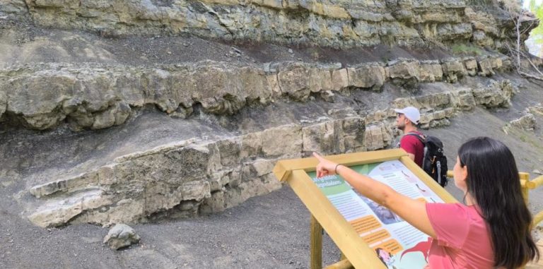 Descubren huellas de dinosaurio de 125 millones de años en Alcalá de la Selva